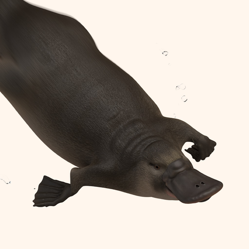 Huon Platypus app icon