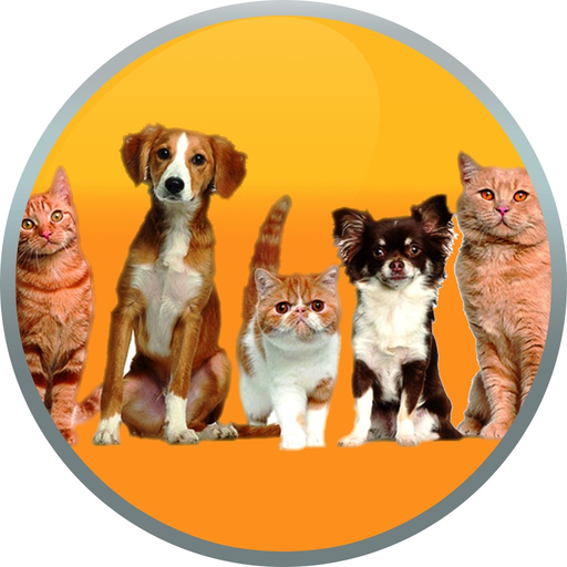 Animal Animated Wallpapers app icon
