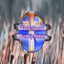 World Harvest Worship Center icon
