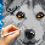 Cross-Stitch Masters icon