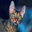 Mixie Stix icon