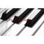 Piano/Teclado JianPu icon