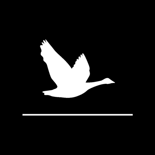 Goose Card Game app icon