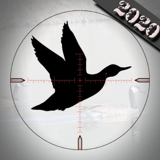 Duck Hunting Calls - app icon