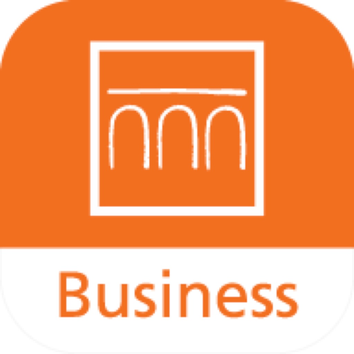 Banca Intesa Digitale app icon