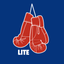 LEATHER® (Lite) icon
