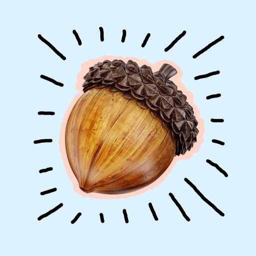 Acorn Catalog app icon