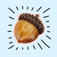 Acorn Catalog icon