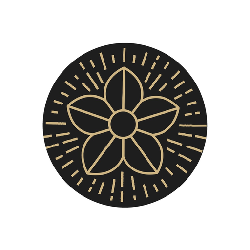 Rochester Medical Weight Loss app icon