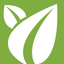 Tea ERP Reporting Tool icon