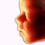 ScanBaby learn baby ultrasound icon