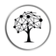 IIENSTITU icon