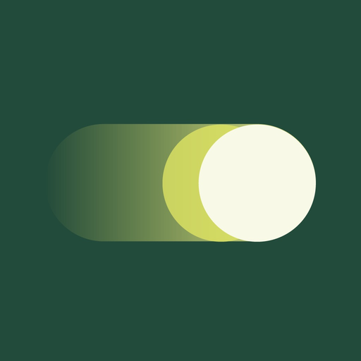 ImmediatePay app icon