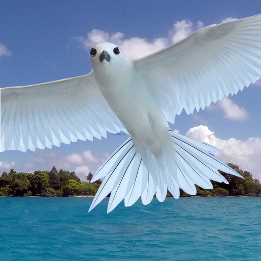 Palmyra Atoll Nature Guide app icon