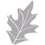 Grey Oaks Country Club icon