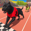 Pitbull Dog Race Tournament icon