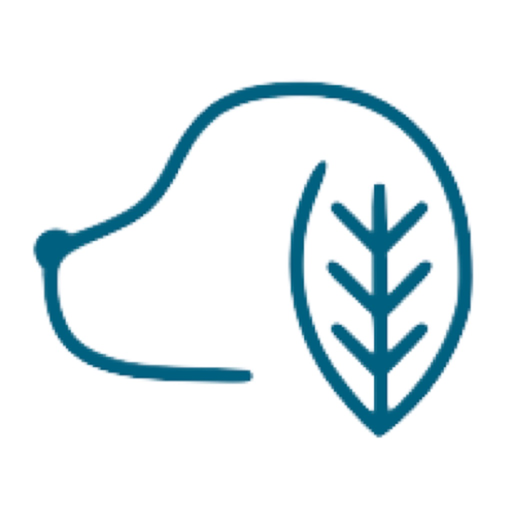 Dogwood Vet app icon