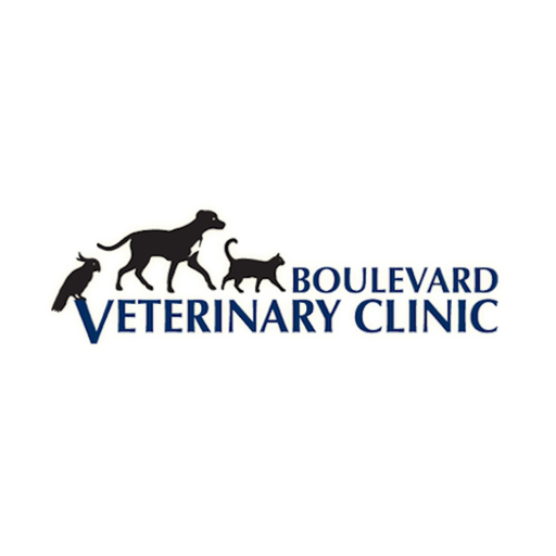 Boulevard Vet Clinic app icon