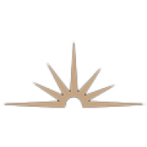 SPRINGS VIP app icon