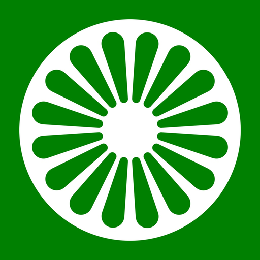 Romani Bibles app icon