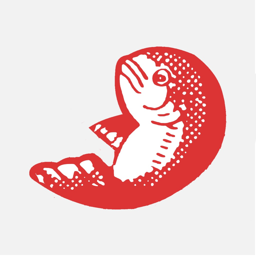 Fortune Teller Miracle Fish app icon
