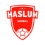 Haslum Håndballklubb icon