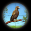 FPS Hunter: Bird Hunting 2020 icon