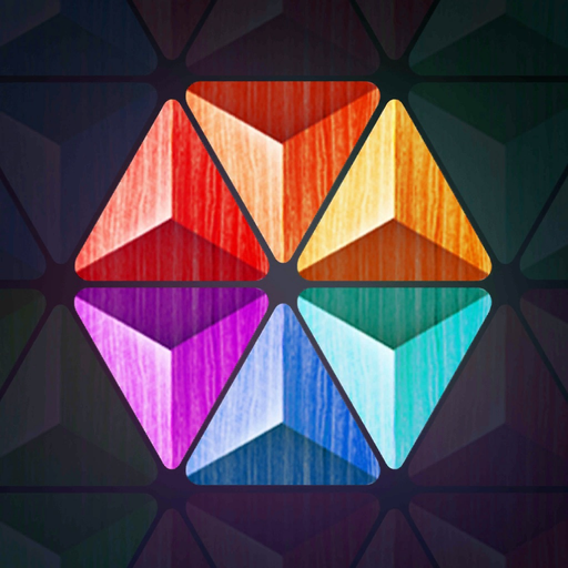 Hexa : Block Triangle Puzzle app icon