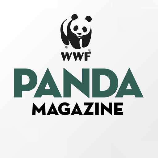 Panda Magazine app icon