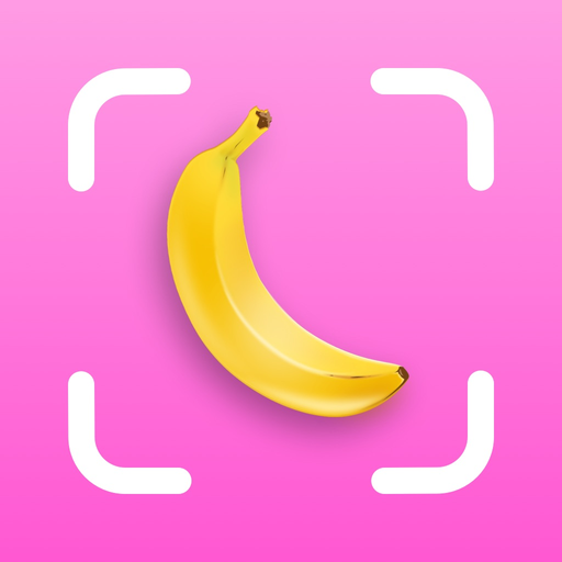 NannerScanner app icon