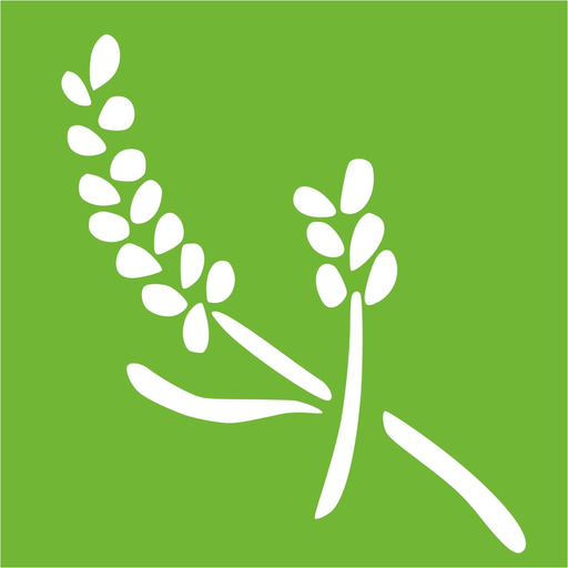 Guia de Aromaterapia app icon