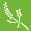 Guia de Aromaterapia icon