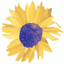 Sunny View Concierge icon