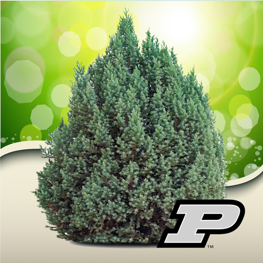 Purdue Shrub Doctor app icon