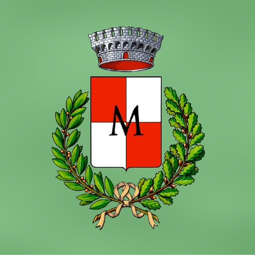 MyMassalengo app icon