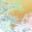 Tracecolor icon