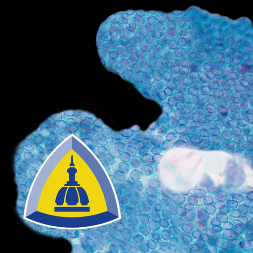 Thyroid Pathology app icon