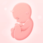 My Pregnancy | Tracker & App icon