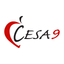 CESA #9 icon