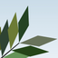 TreeSim icon