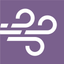 NeoView icon