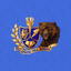 Spring Hill Bears icon
