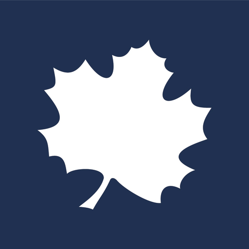 BOŚtoken app icon