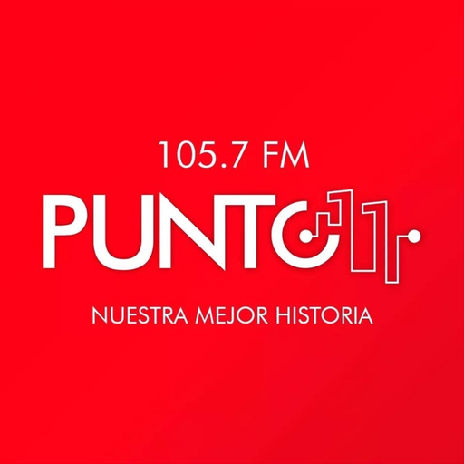 Punto 11 app icon