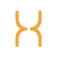 XPro OS icon