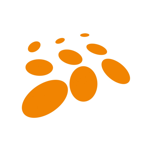 LookHere Formaturas app icon