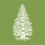 Expeditions: Arnold Arboretum icon