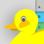 Contiducks icon