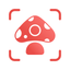 Picture Mushroom: Identifier icon