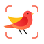 Picture Bird: Bird identifier icon